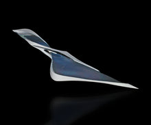 画像をギャラリービューアに読み込む, 松村淳 Apoptosis (voluptuous) (Sa)2 プレート