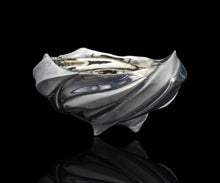 画像をギャラリービューアに読み込む, 松村淳 (meta) Shifting Quaila (embryum) 酒呑