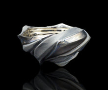 画像をギャラリービューアに読み込む, 松村淳 (meta) Shifting Quaila (embryum) 酒呑