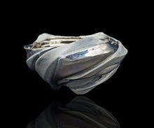 画像をギャラリービューアに読み込む, 松村淳 (meta) Shifting Quaila (embryum) 酒呑