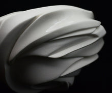 画像をギャラリービューアに読み込む, 松村淳 Shifting Quaila (embryum) 酒呑