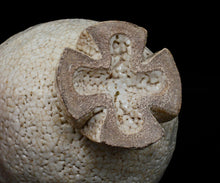 画像をギャラリービューアに読み込む, 金宗勲 割高台茶盌 銘「白兎」