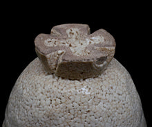 画像をギャラリービューアに読み込む, 金宗勲 割高台茶盌 銘「白兎」