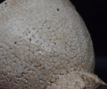 画像をギャラリービューアに読み込む, 金宗勲 割高台茶盌 銘「白兎」