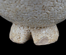 画像をギャラリービューアに読み込む, 金宗勲 割高台茶盌 銘「白兎」