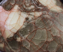 画像をギャラリービューアに読み込む, 若尾経 窯変練込 米色瓷酒坏