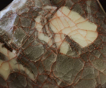 画像をギャラリービューアに読み込む, 若尾経 窯変練込 米色瓷酒坏