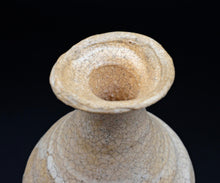 画像をギャラリービューアに読み込む, 川瀬隆一郎 崎陽高麗 井戸徳利