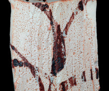 画像をギャラリービューアに読み込む, 若尾利貞 志野花器