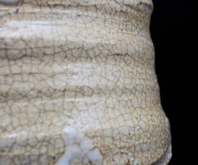 画像をギャラリービューアに読み込む, 川瀬隆一郎 崎陽高麗 独楽井戸茶碗