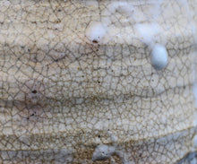 画像をギャラリービューアに読み込む, 川瀬隆一郎 崎陽高麗 独楽井戸茶碗