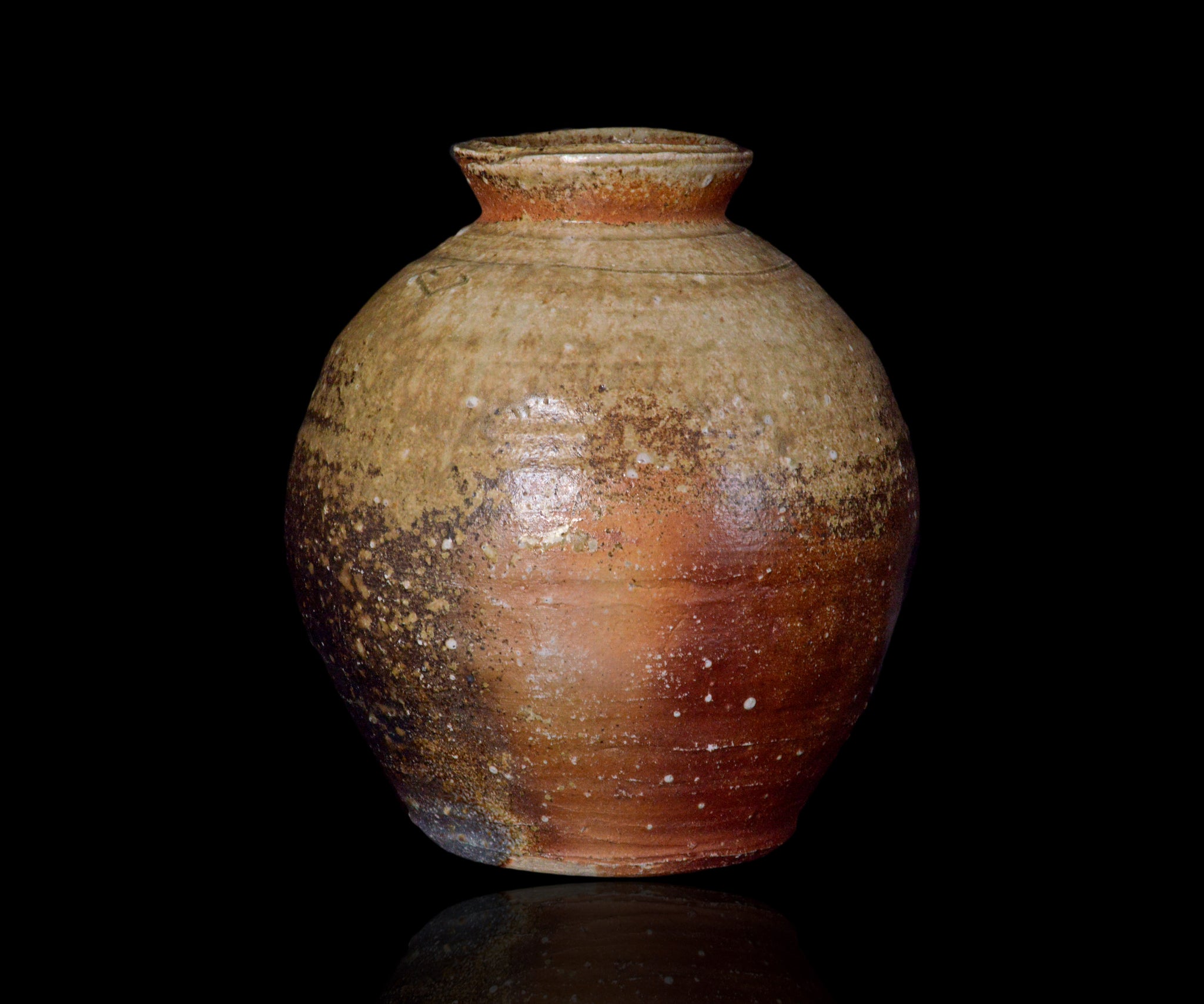 定窯　草花紋　扁壺 粉青掻落草葉文扁壺 文化遺産オンライン
