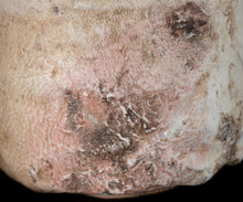 画像をギャラリービューアに読み込む, 三藤るい 斑唐津茶碗
