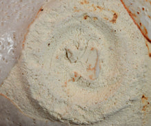 画像をギャラリービューアに読み込む, 加藤亮太郎 志埜茶盌 銘「駿雲」
