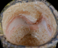 画像をギャラリービューアに読み込む, 伊勢崎陽太郎 日々薪窯ぐい呑
