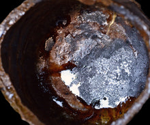 画像をギャラリービューアに読み込む, 今西公彦 丹波刳貫茶盌 Nebulith
