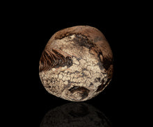 画像をギャラリービューアに読み込む, 泉田之也 積層裂盌
