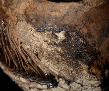 画像をギャラリービューアに読み込む, 泉田之也 積層裂盌
