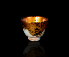 画像をギャラリービューアに読み込む, 布下翔碁 embracing-damage 030
