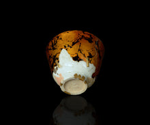 画像をギャラリービューアに読み込む, 布下翔碁 embracing-damage 030
