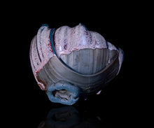 画像をギャラリービューアに読み込む, 加藤真美 フロスト釉茶碗 銘「宵宮」
