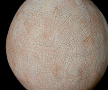 Load image into Gallery viewer, Amanda Tong “mono no aware” Naturally Dyed Flower Vase — Sakura &amp; Katsura —
