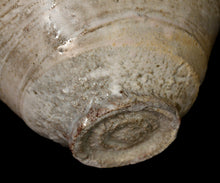 Load image into Gallery viewer, Tasuku Mitsufuji Natural Ash Glaze Chawan
