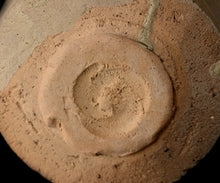 画像をギャラリービューアに読み込む, 安永頼山 黒刷毛目茶盌
