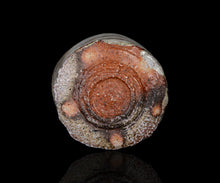 画像をギャラリービューアに読み込む, 竹下鹿丸 相継幽白磁茶盌
