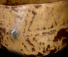 画像をギャラリービューアに読み込む, 松村遷 本沼手黄瀬戸茶盌
