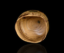 画像をギャラリービューアに読み込む, 松村遷 本沼手黄瀬戸茶盌
