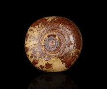 画像をギャラリービューアに読み込む, 松村遷 本沼手黄瀬戸茶盌
