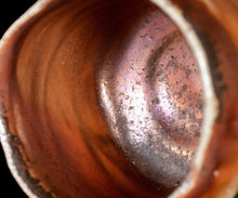 Load image into Gallery viewer, Ken Matsuzaki Kinshino tea bowl
