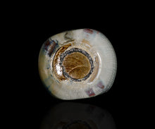 画像をギャラリービューアに読み込む, 松村遷 本沼手黄瀬戸窯変徳利
