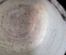 画像をギャラリービューアに読み込む, 竹下鹿丸 幽白磁茶盌
