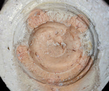 画像をギャラリービューアに読み込む, 竹下鹿丸 幽白磁茶盌
