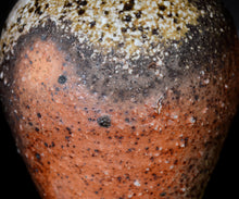 画像をギャラリービューアに読み込む, 竹下鹿丸 自然釉壺
