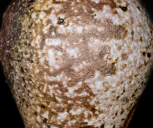 画像をギャラリービューアに読み込む, 竹下鹿丸 自然釉壺
