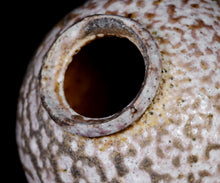 画像をギャラリービューアに読み込む, 竹下鹿丸 自然釉壺
