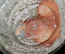 Load image into Gallery viewer, Kan Matsuzaki Shida-yu chawan
