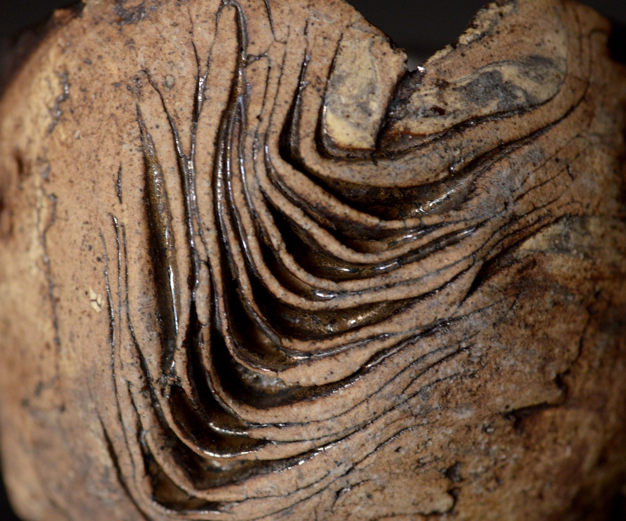 泉田之也積層 サイズ横19cm高さ4cmです 東京展示会購入 積層花器