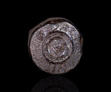 画像をギャラリービューアに読み込む, 若尾利貞 黒楽茶盌
