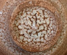 画像をギャラリービューアに読み込む, 金宗勲 大井戸茶盌 銘「蒼龍」
