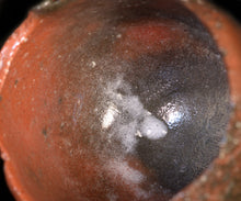 画像をギャラリービューアに読み込む, 若尾利貞 赤楽茶盌
