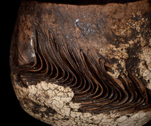 画像をギャラリービューアに読み込む, 泉田之也 積層裂盌
