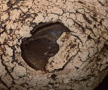 画像をギャラリービューアに読み込む, 泉田之也 積層裂盌
