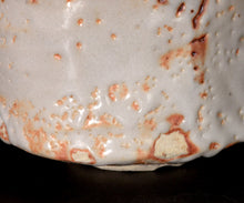 画像をギャラリービューアに読み込む, 加藤亮太郎 志埜茶盌 銘「焔牙」
